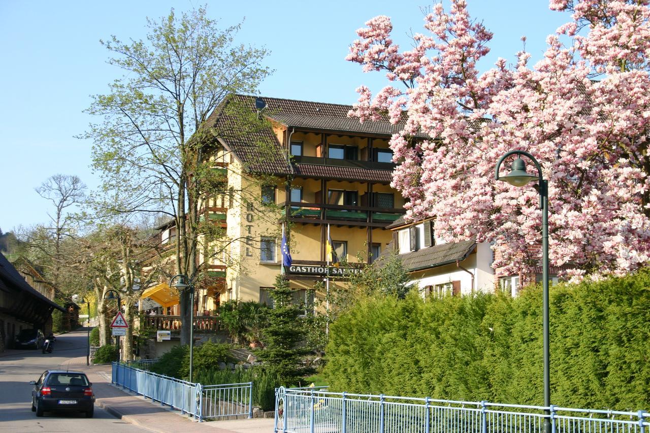 Landhotel Salmen Oberkirch  Eksteriør bilde